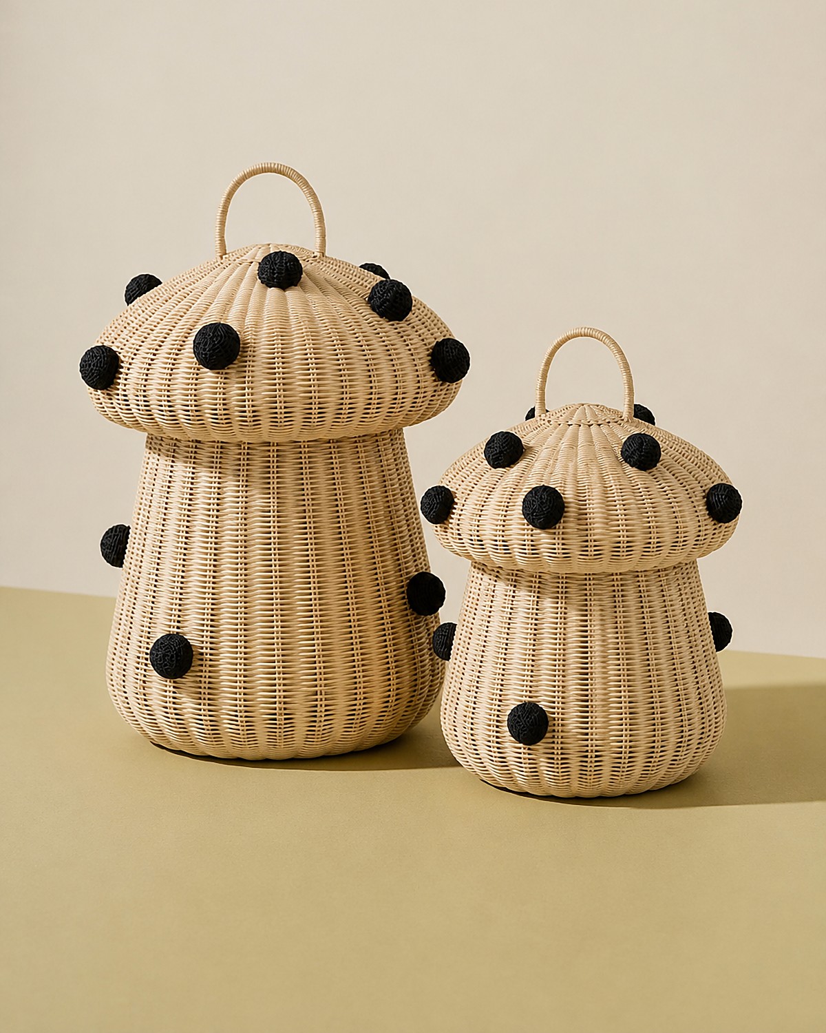 Hongo Pinto Baskets
